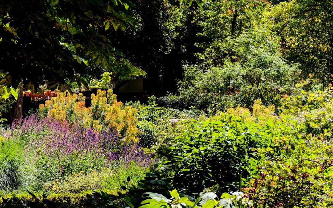 Royal Botanical Garden of Madrid